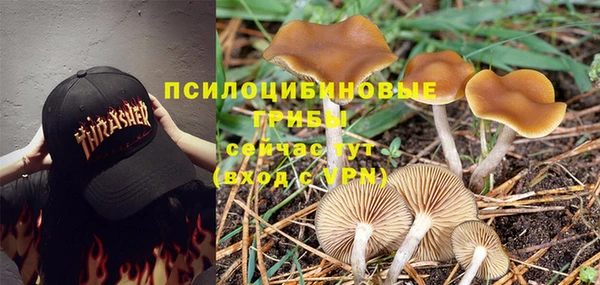 дживик Армянск