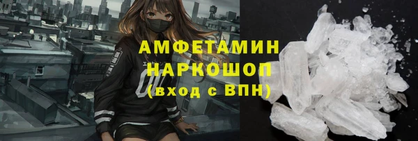 стаф Аркадак