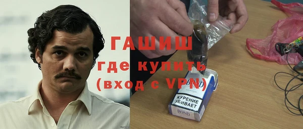 стаф Аркадак