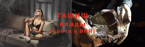 гидра Арсеньев