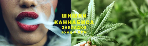 стаф Аркадак