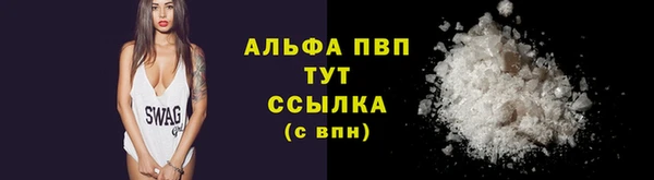 стаф Аркадак