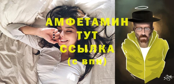 стаф Аркадак