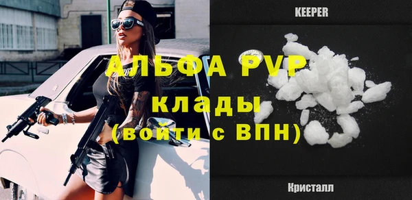 стаф Аркадак