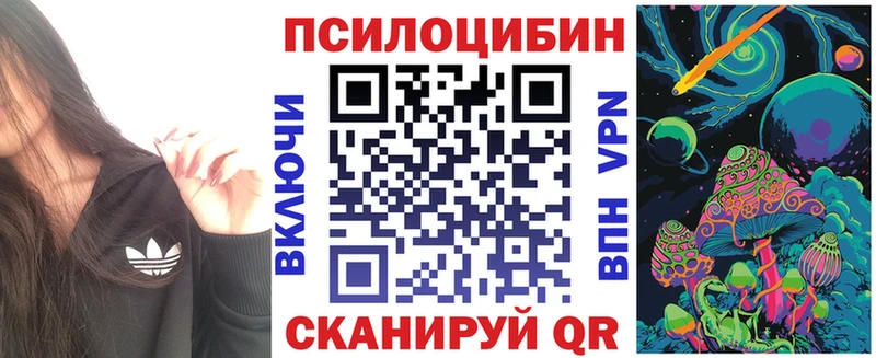 цены   Северобайкальск  Галлюциногенные грибы прущие грибы 