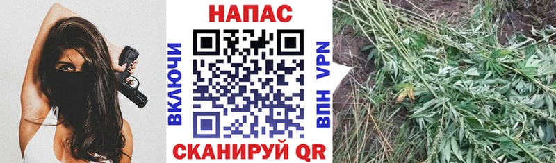 ссылка на мегу ссылка  Северобайкальск  Канабис Amnesia 